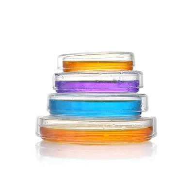 Laboratoryjna szklana szalka Petriego 60 mm 90 mm 100 mm szalka do hodowli komórkowych z pokrywkami